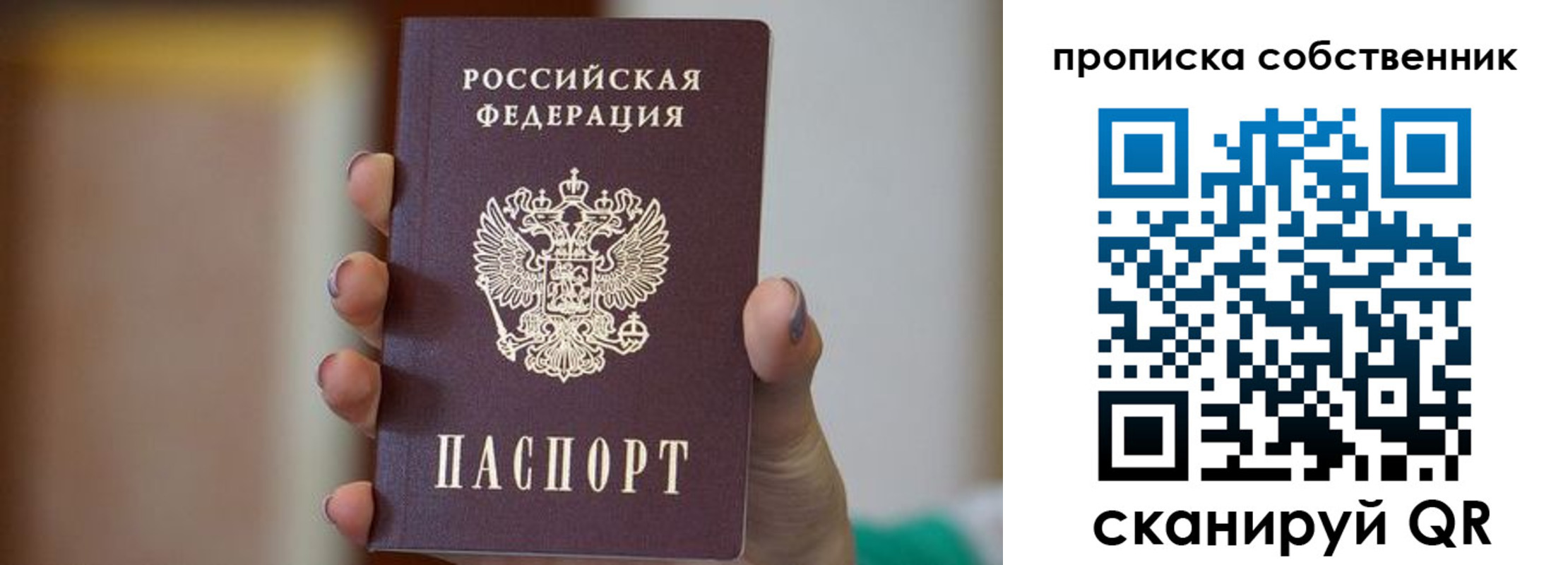 прописка поиск в Бабаево