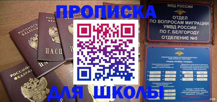 прописка гарантия в Бабаево